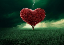 Czerwone I Bure ( wersja 2025 )